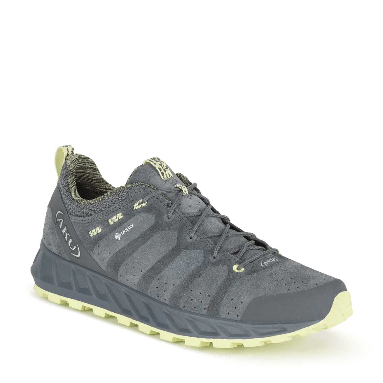 AKU Rapida Evo Gtx Walking Shoes Grey | 3172369